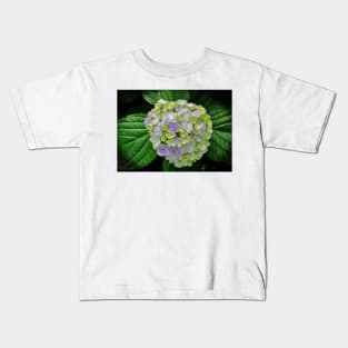 Lovely Hydrangea Kids T-Shirt